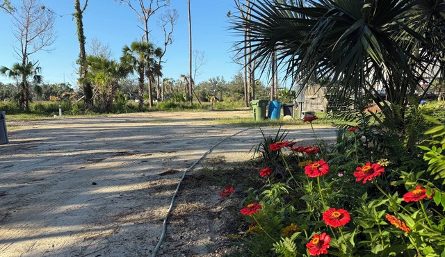 The Marsh site at Privacy RV campgrounds of Steinhatchee- Awesome, private!