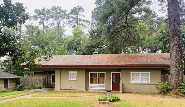 The Martin Cottage! Located a block from St. Luke's- few minutes from downtown!