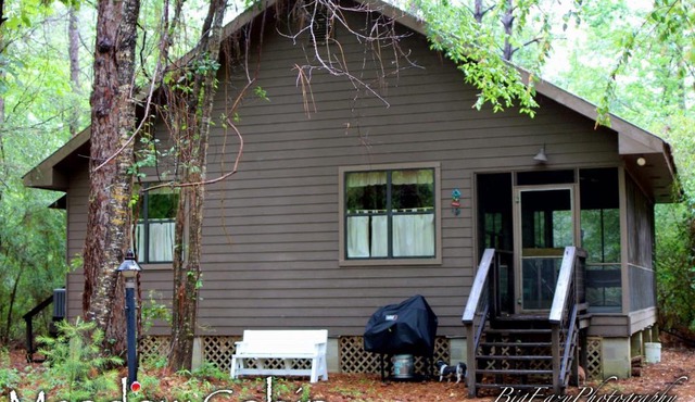 The Meadow Cabin