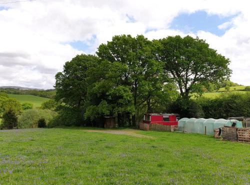 The Megabus near Tavistock and Dartmoor.