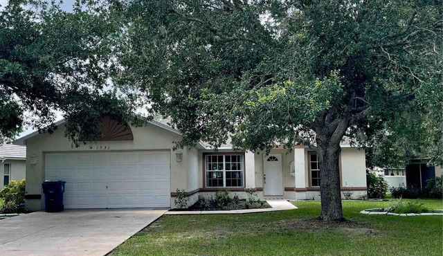 The Mermaid Show Home