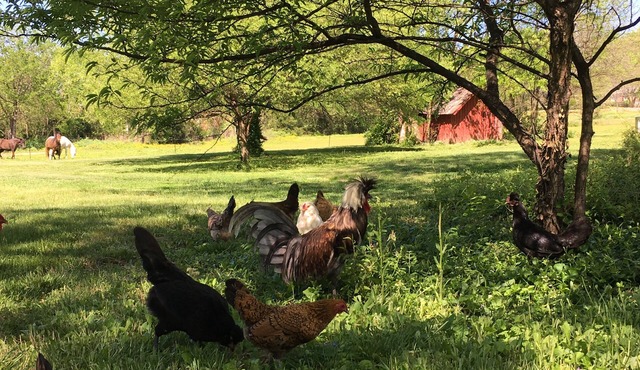 The Milk Barn at Artesian Springs, Nolensville, TN