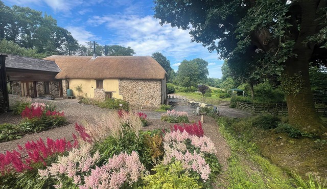 THE MILKING PARLOUR, family friendly, with open fire in Highampton