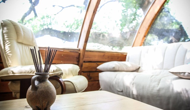 The Millau hut, a unique experience in the trees