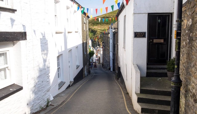 THE MOONBEACH CABIN, pet friendly, with a garden in Gorran Haven