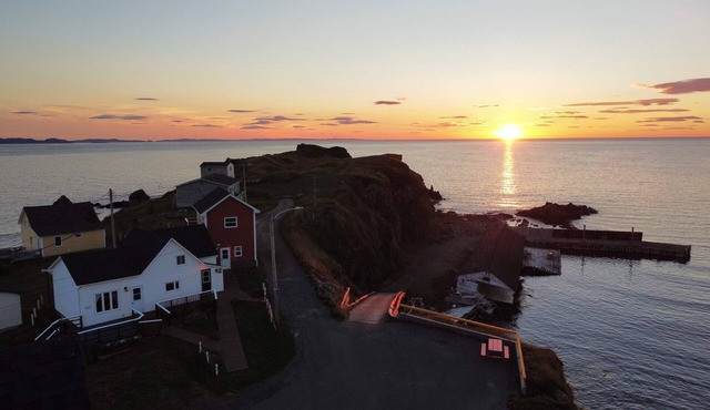 The Moose, Twillingate Island