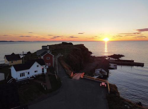 The Moose Twillingate Island