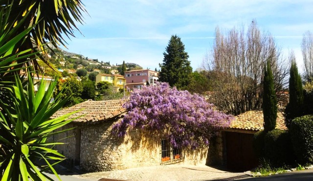 The Moulin de Boursac - Historic renovated Mill with a huge pool
