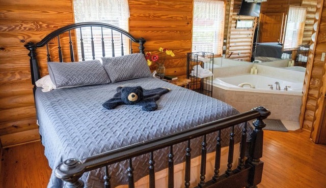 The Mountain View Cottage - 2 bd/2 bath with Jacuzzi & large Deck
