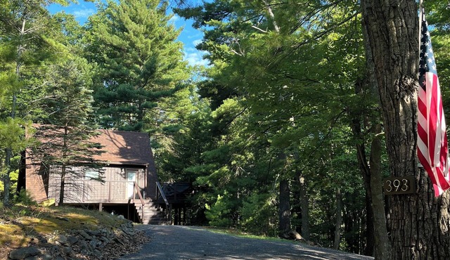 The Mountainside A-frame