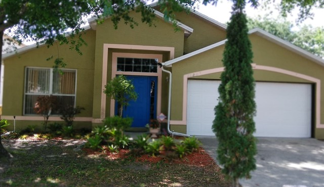 The Mouse`s neighbor studio near Disney