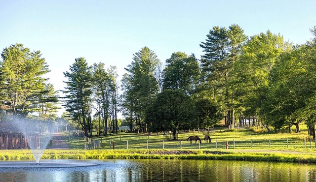 The Museum Suite @ Driftwood Ranch - a Horse and Cattle Ranch - White Lake, NY