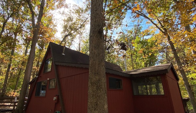 The Music Box Chalet - Innsbrook Resort