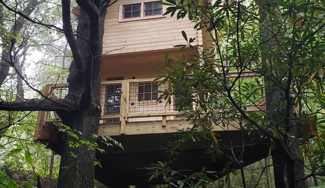 The Music Box Treehouse