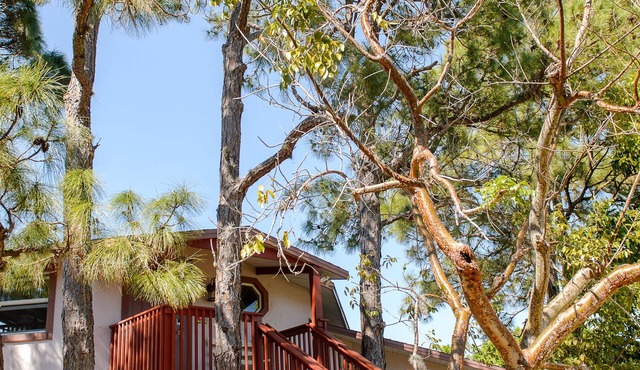 The Naples Treehouse – Private Tropical Hideaway