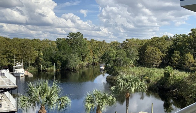 The Nauti Angler - Suwannee Cove where the River meets the Gulf - Unit 203 - 3BR