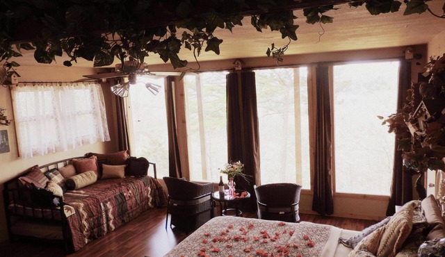 The Nest at 188 is a unique lodging/retreat located in Eureka Springs, Arkansas.