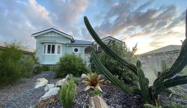 The Nest. beach and lakeside, for bird twitchers, nature and astronomy lovers!