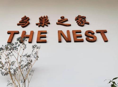The Nest Hostel
