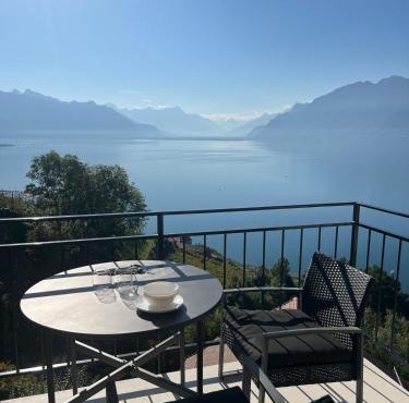 The Nest Lavaux