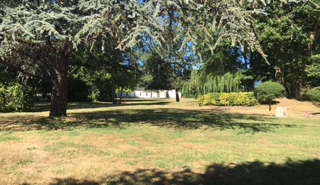 The Nest of the Touch