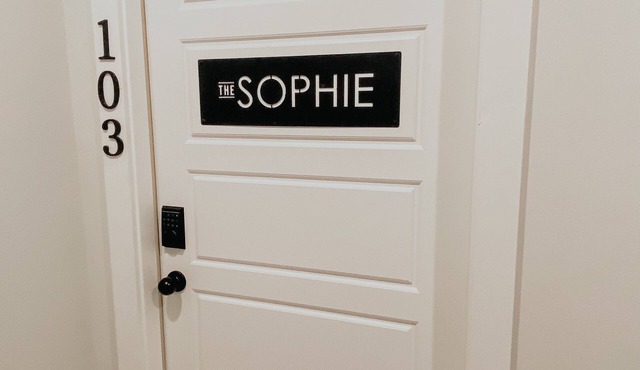 The New Premiere Downtown Luxury Loft, The Sophie