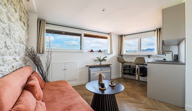 The Niçois perch, panoramic view of the city