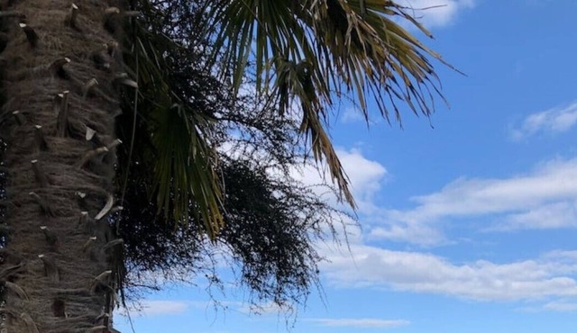 The Nook A traditional Welsh cottage.