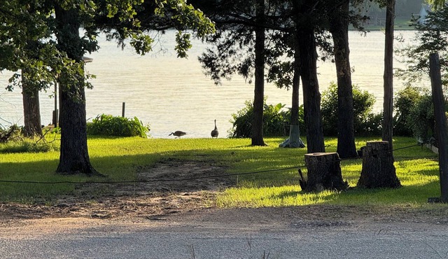 The Oak House with lake view. E. Tx , Tyler,Canton, Athens, areas. Private lake.