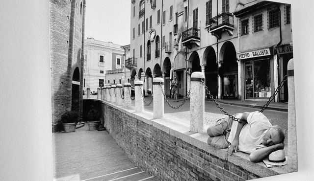 The Oakridge 1 Bedroom Apartment