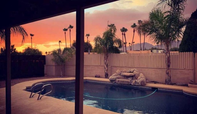 The Oasis in the Palms