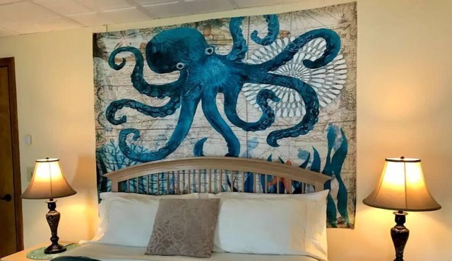 The Octopus's Garden