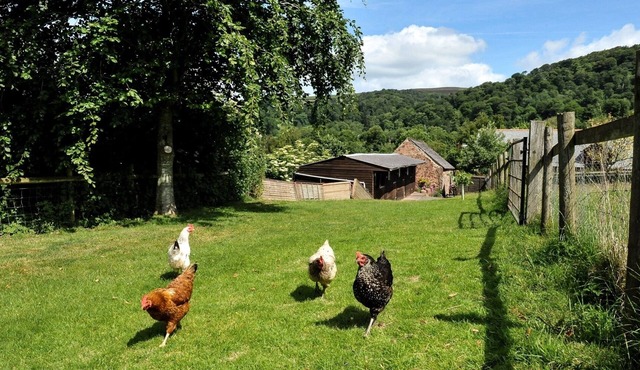 The Old Bakery (Sleeps 4. 2 Bedrooms)