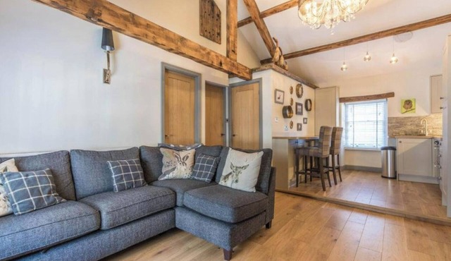 The Old Hayloft - Barn Owl