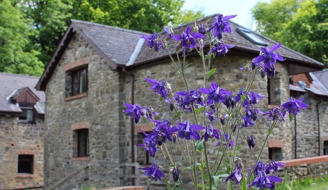 The Old Mill. Surrounded by over 450 acres of Organic farm