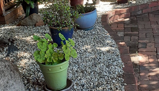 The old Myrtleford Dairy