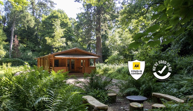 The Old Quarry — Log Cabin In The Woods