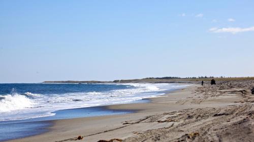 The Old Salt Box Co. - Aunt Donna's