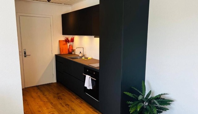 The Old Silkeborg Hotel 1 TH