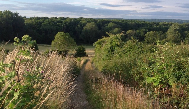 The Old Smithy. A delightful B&B Adjacent to the South Downsn