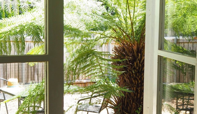 The Old Stanley Sun - eclectic and peaceful