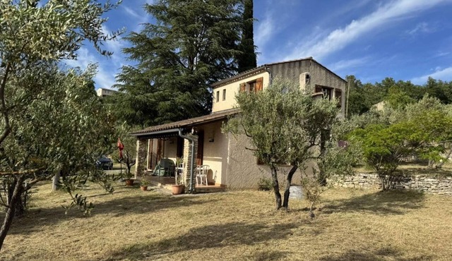 The olive grove - CORRENS