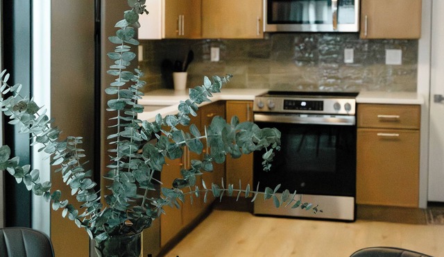 “The Olive House” Peaceful and Charming Home