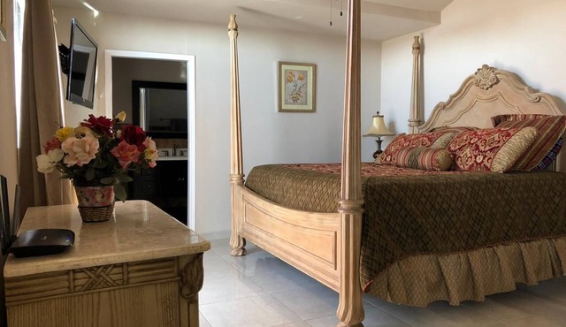 The Olmsteads Apartment with a Private Hot Jacuzzi on the patio!