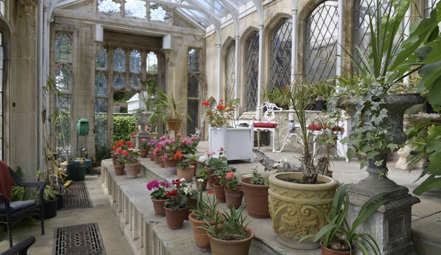 The Orangery Apartment