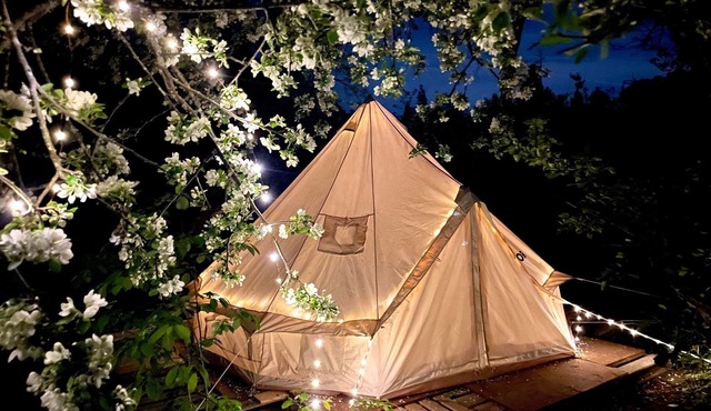 The Orchard Bell - Glamping in a Wild Orchard near Fredericton, NB!