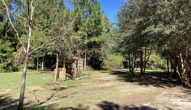 THE ORCHARD disperse primitive site