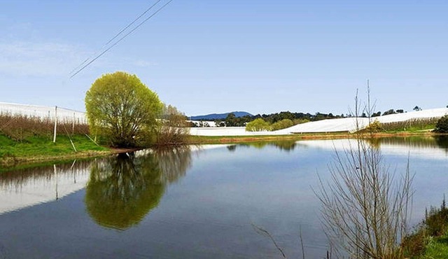 The Orchard House - A quiet country getaway.