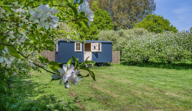 The Orchard Hut - One Bedroom House, Sleeps 2