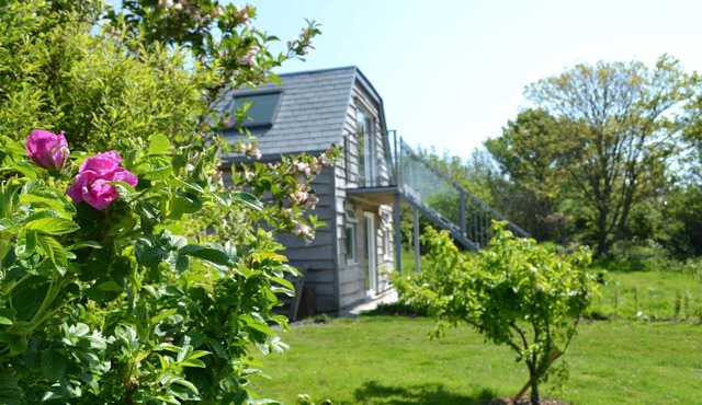 The Orchard, shared hot tub and sauna